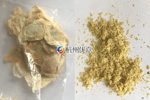 如何利用宋慈高通量多樣品組織研磨儀研磨植物組織？